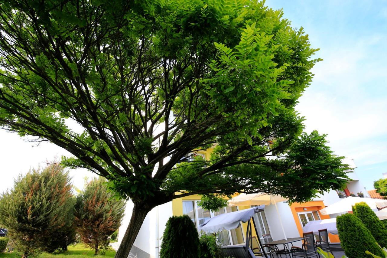 Stayinn Rainbow Houses Beachfront By Asteri Hotels Slântsjev Brjag Eksteriør bilde